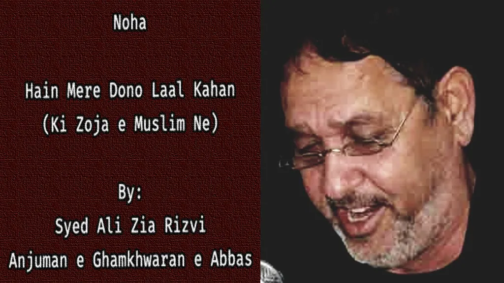 Hain Mere Dono Laal Kahan – Ali Zia Rizvi Vol 3