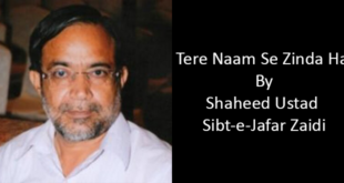 Tere Naam Se Zinda Hai