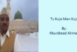 Tu Kuja Man Kuja - Khursheed Ahmed