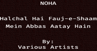 Halchal Hai Fauj-e-Shaam Mein - Various Artists